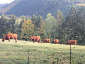 Urlaub auf dem Bauernhof Netphen